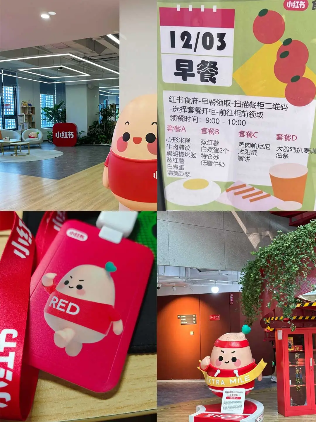 新来的实习生走了...小红薯急捞实习生