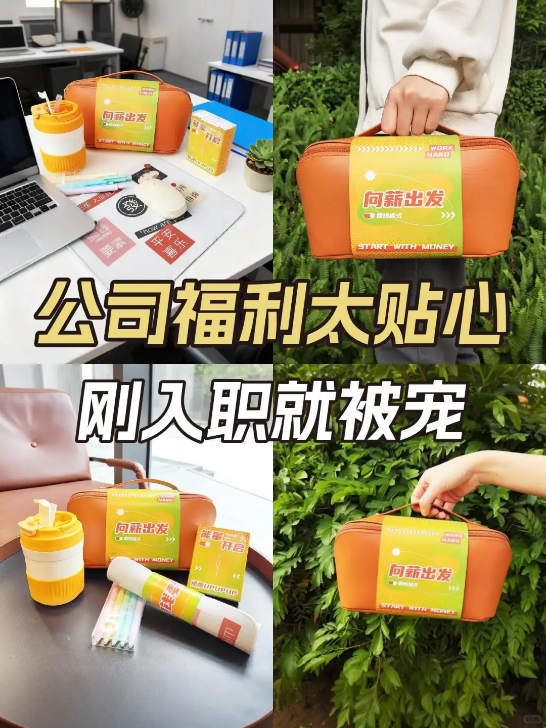 两年空窗期跳槽成功💪，新入职就被宠