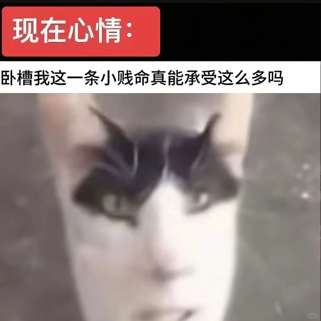 谁发明的实习生