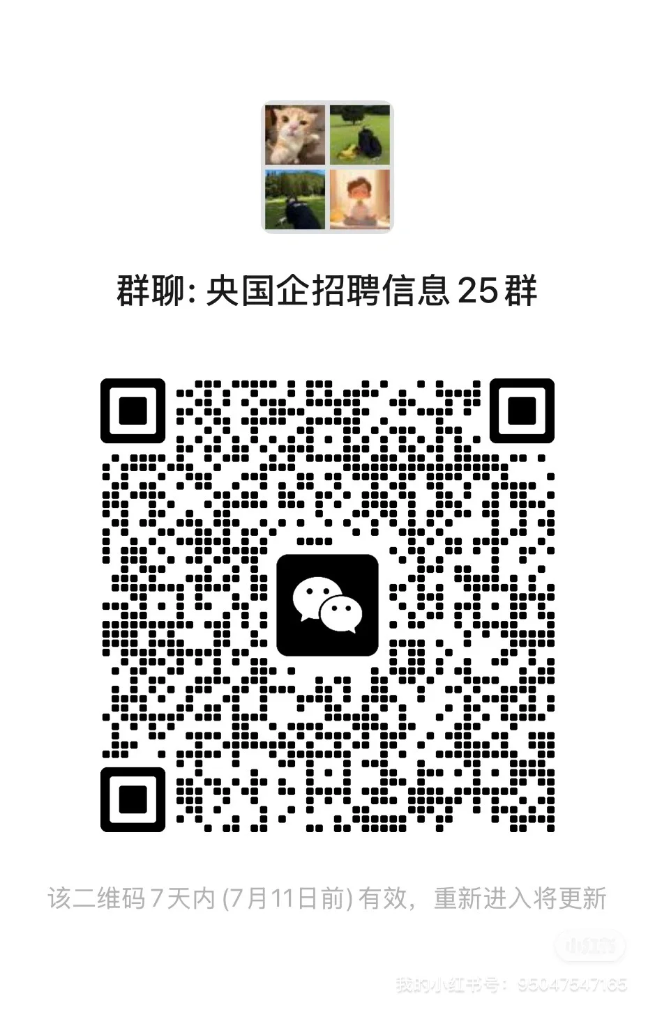 央国企就业信息分享群，新开的，入来