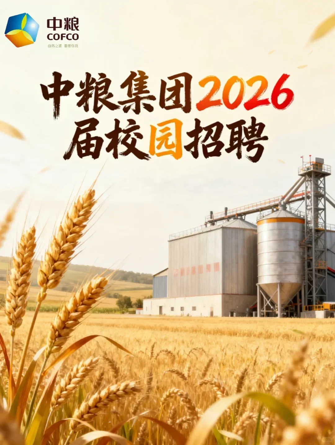 中粮集团2026校园招聘