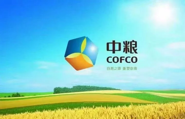 找靠谱的同事