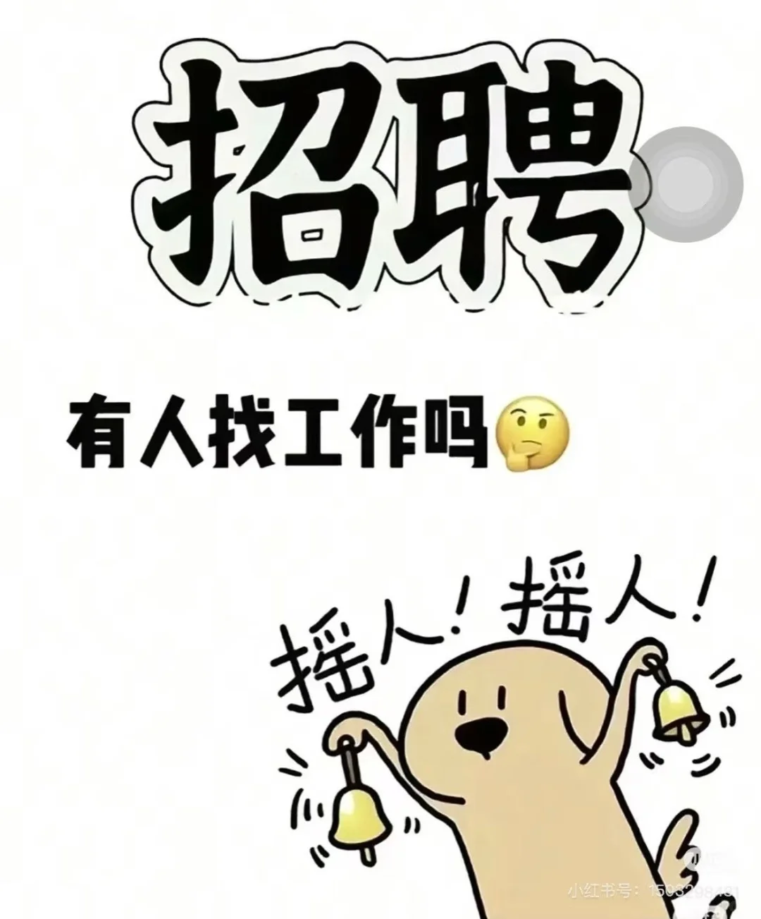海口大量招聘主管❗️ ❗️