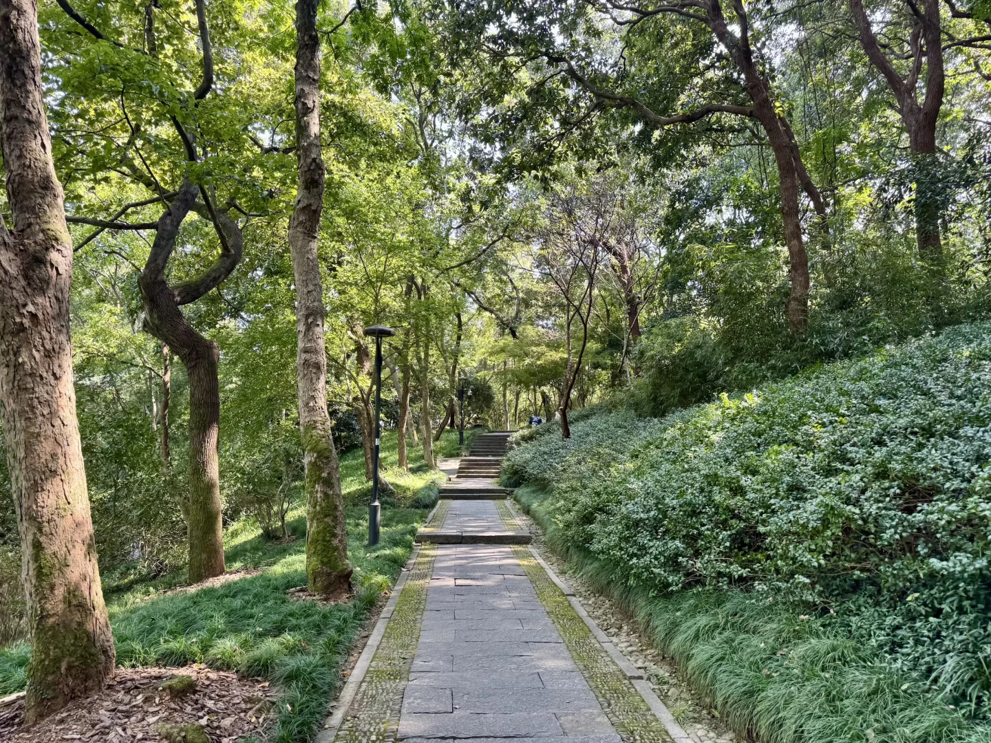 避开人潮❗️杭州南高峰小众宝藏徒步路线✨