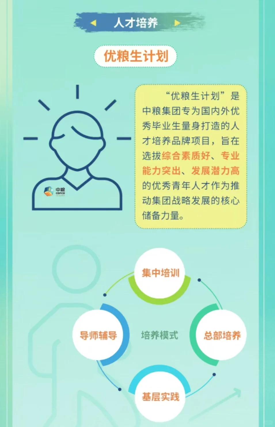 六险二金！中粮集团26校招山东多岗