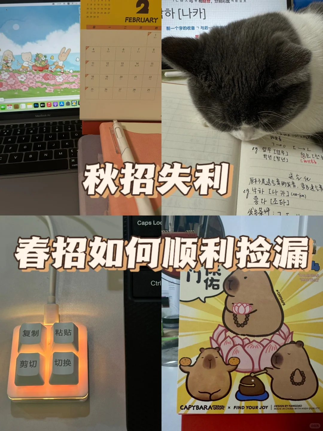 秋招失利 春招如何顺利捡漏