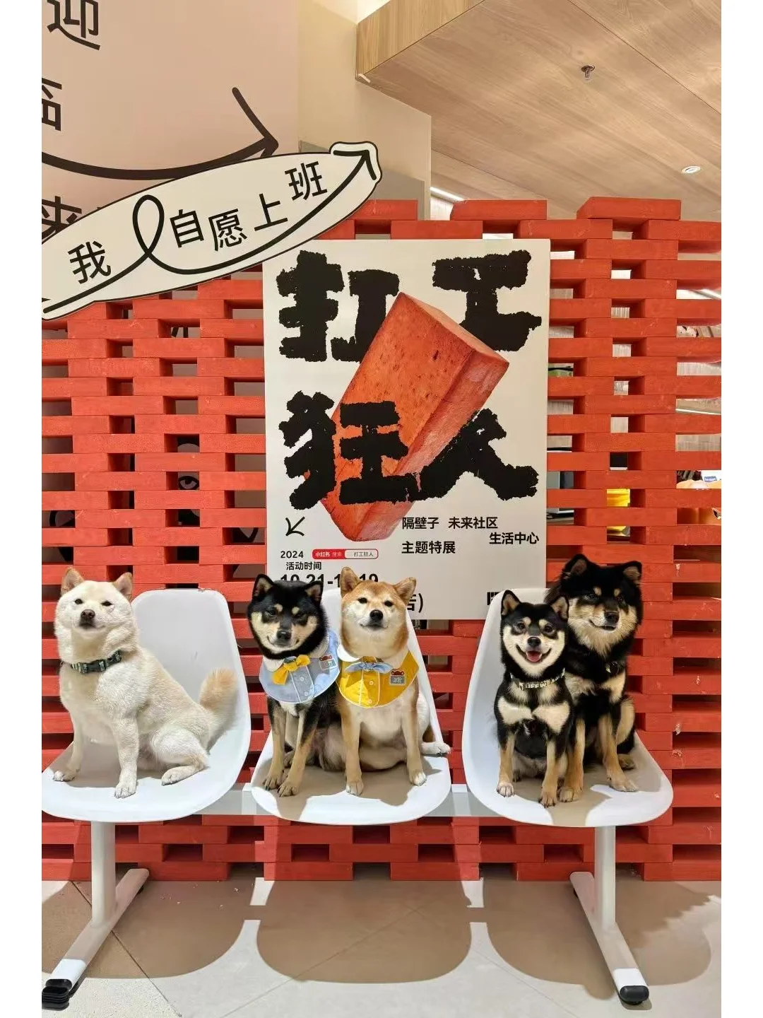 青年视角出发，社区如何触达年轻人？
