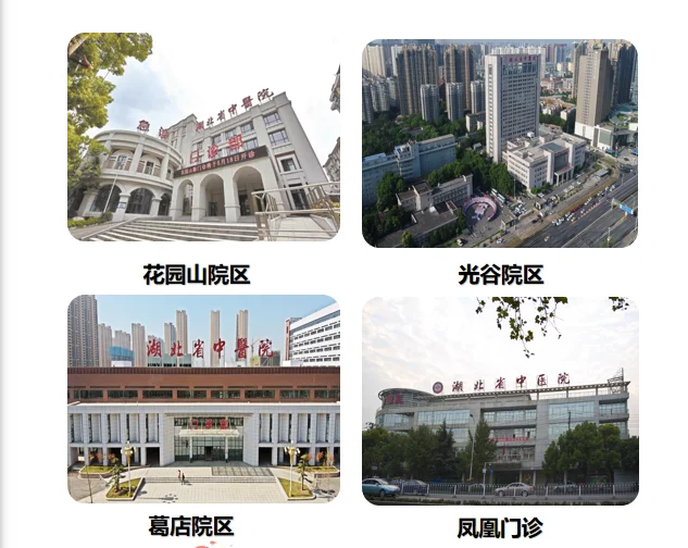 2024年湖北省中医院招聘179人启事