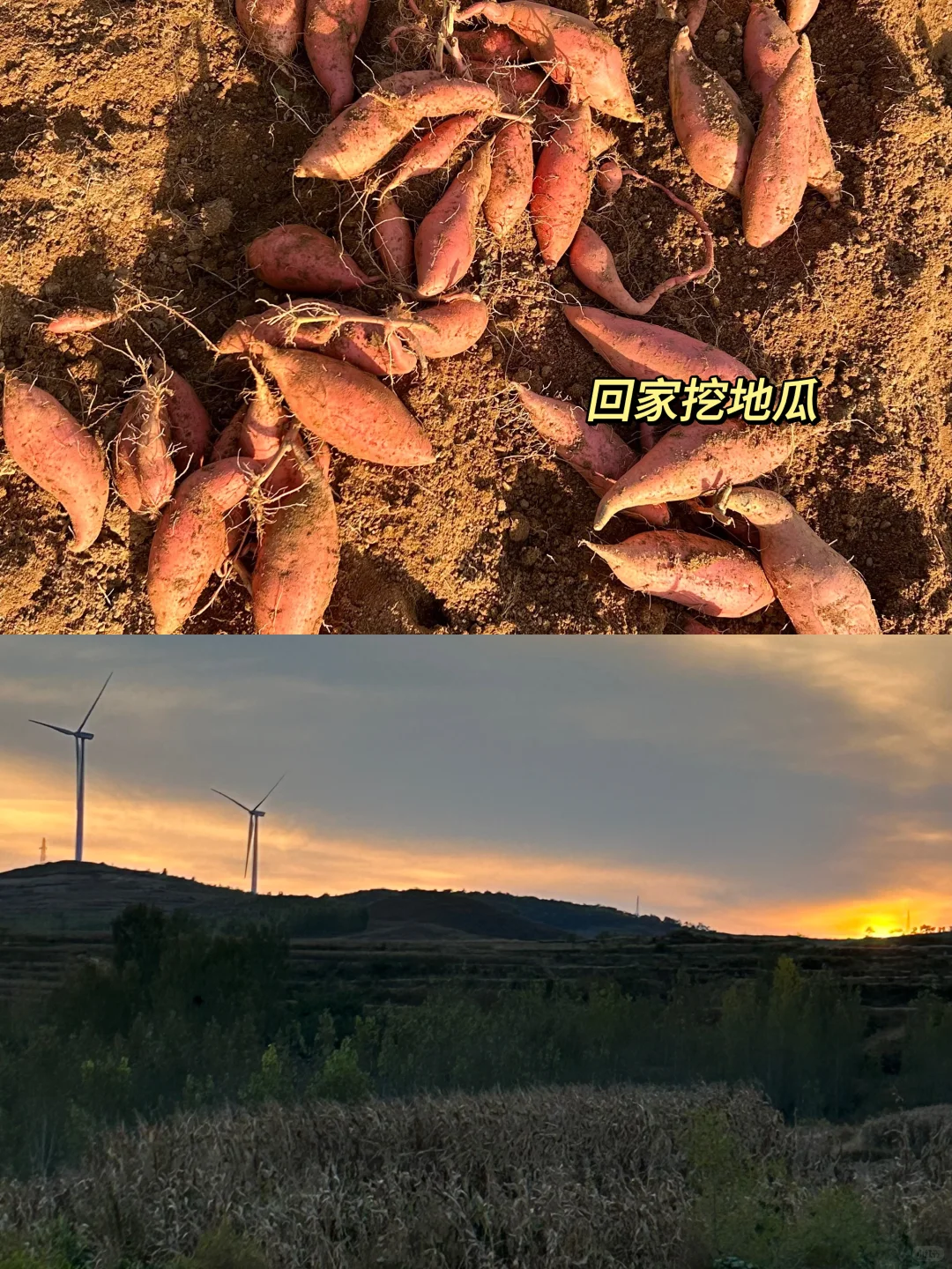 谁说学农没有出路｜读研狂赚10W 可复制版