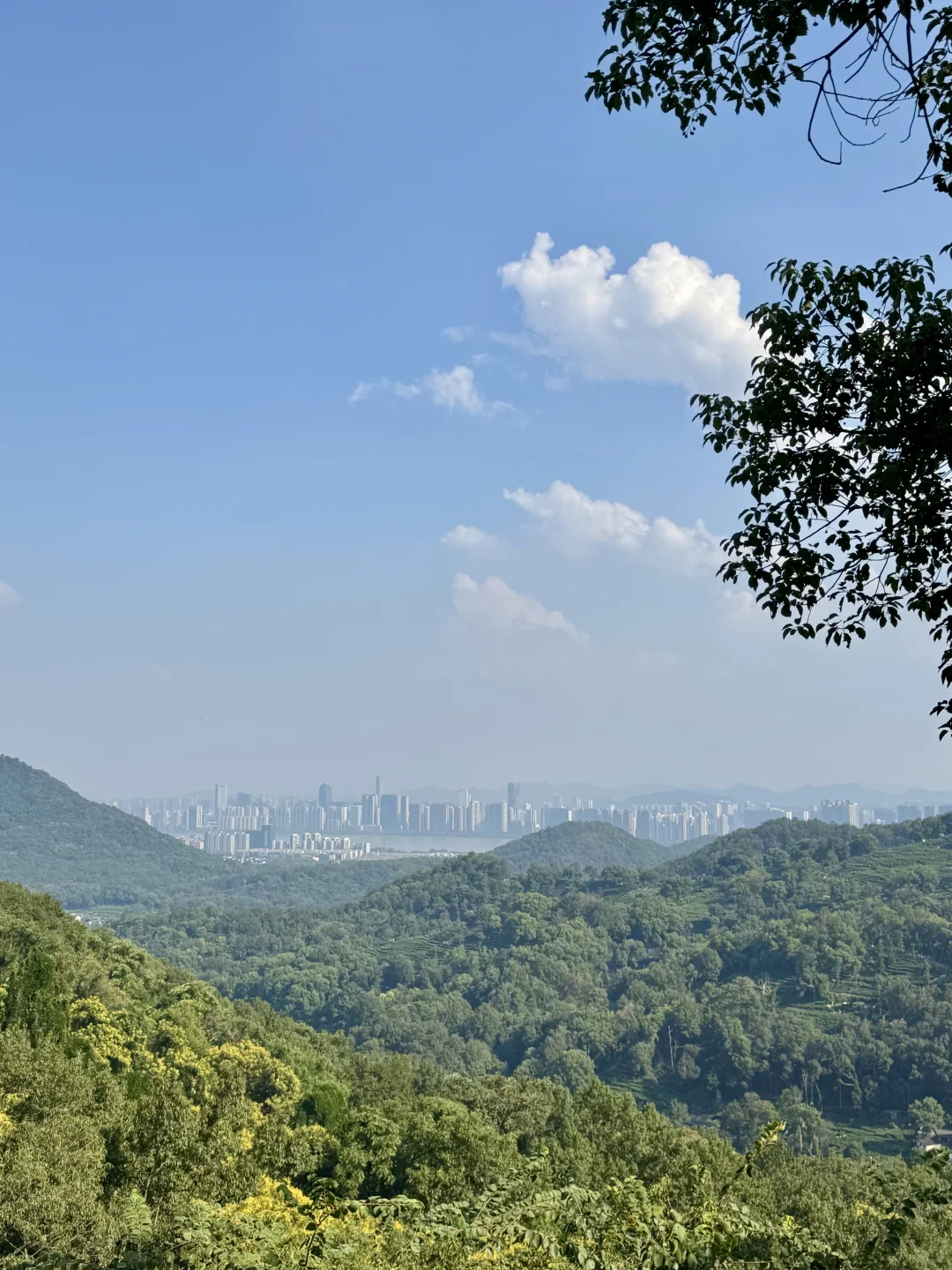 避开人潮❗️杭州南高峰小众宝藏徒步路线✨