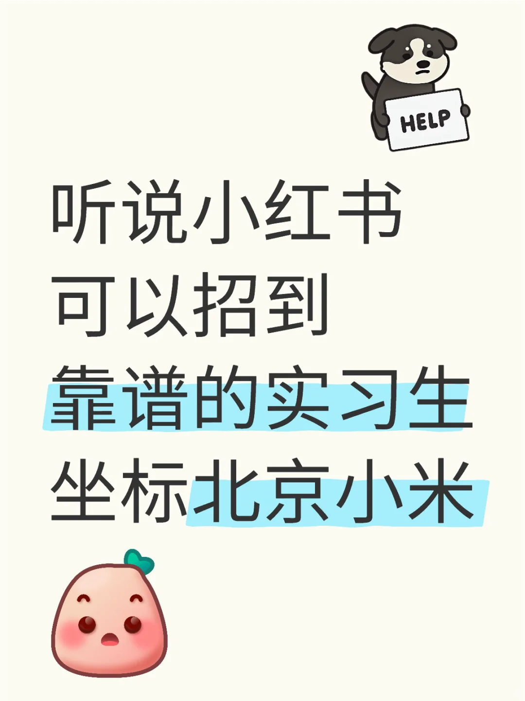 听说小红书可以招到靠谱的实习生 坐标北京