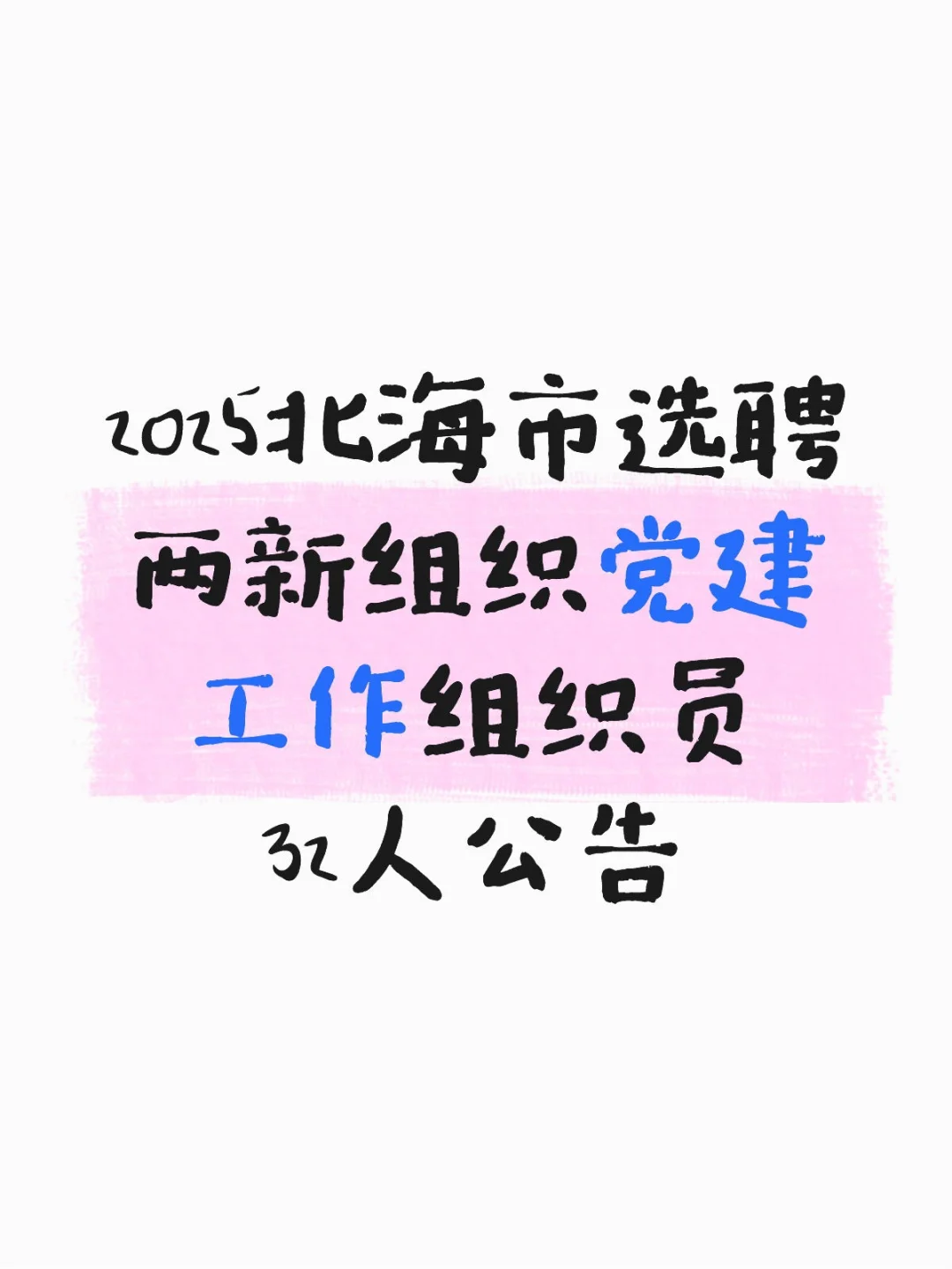 2025北海市选聘两新组织党建工作组织员