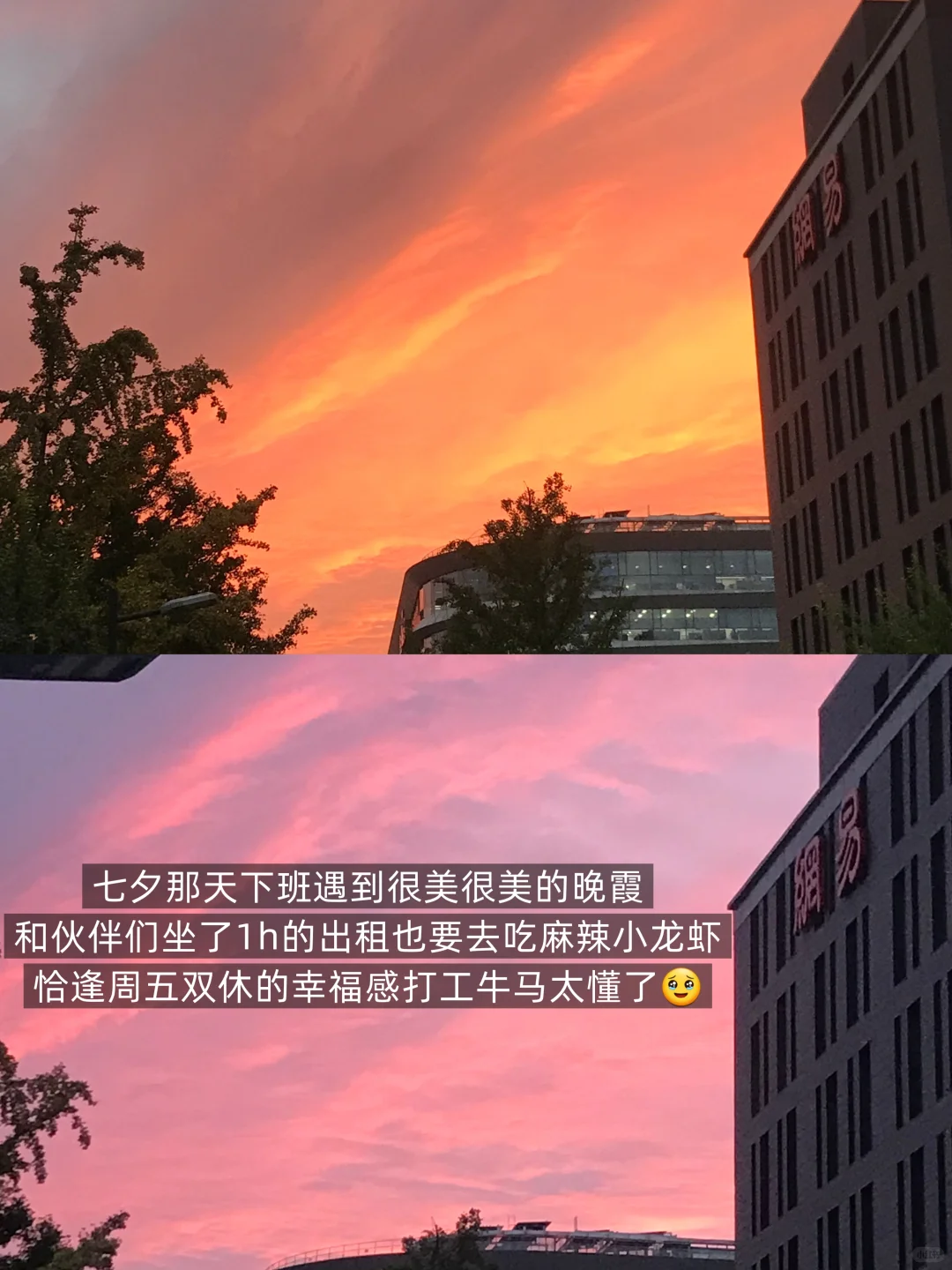 双非文科 | 研0第一份实习勇闯网易（经验帖