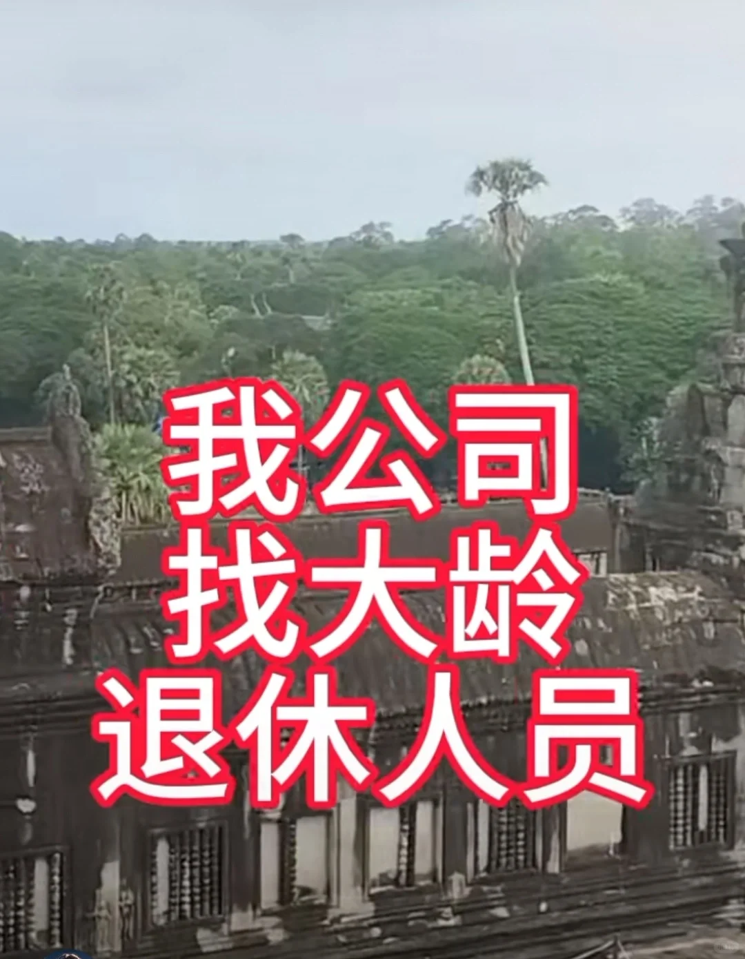 我公司找大龄退休人员