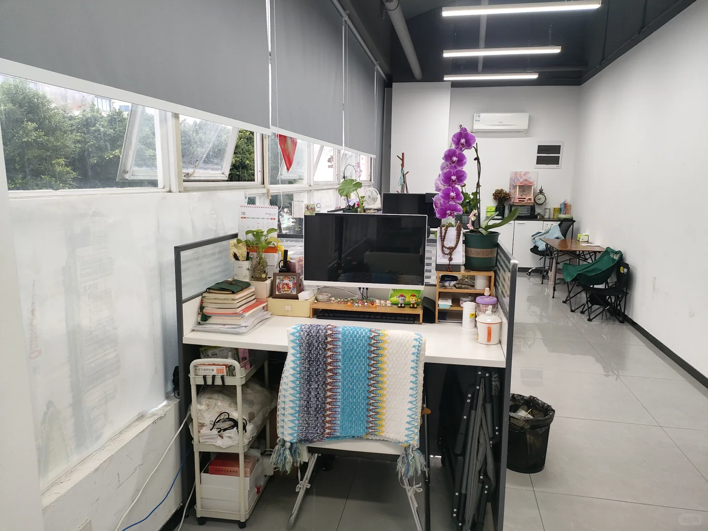 我们的办公室也太温馨了！在温江，缺搭子！