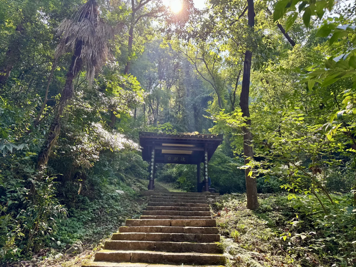 避开人潮❗️杭州南高峰小众宝藏徒步路线✨