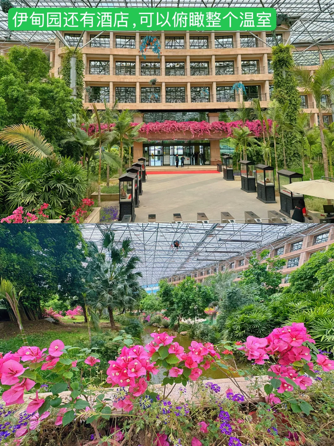 这么近那么美-🏕️五一去京郊河北大厂游玩