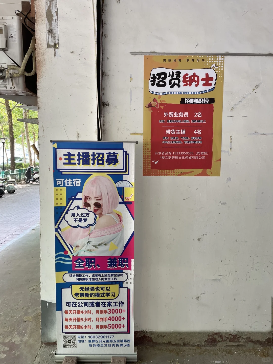 邢台 工作 搭子