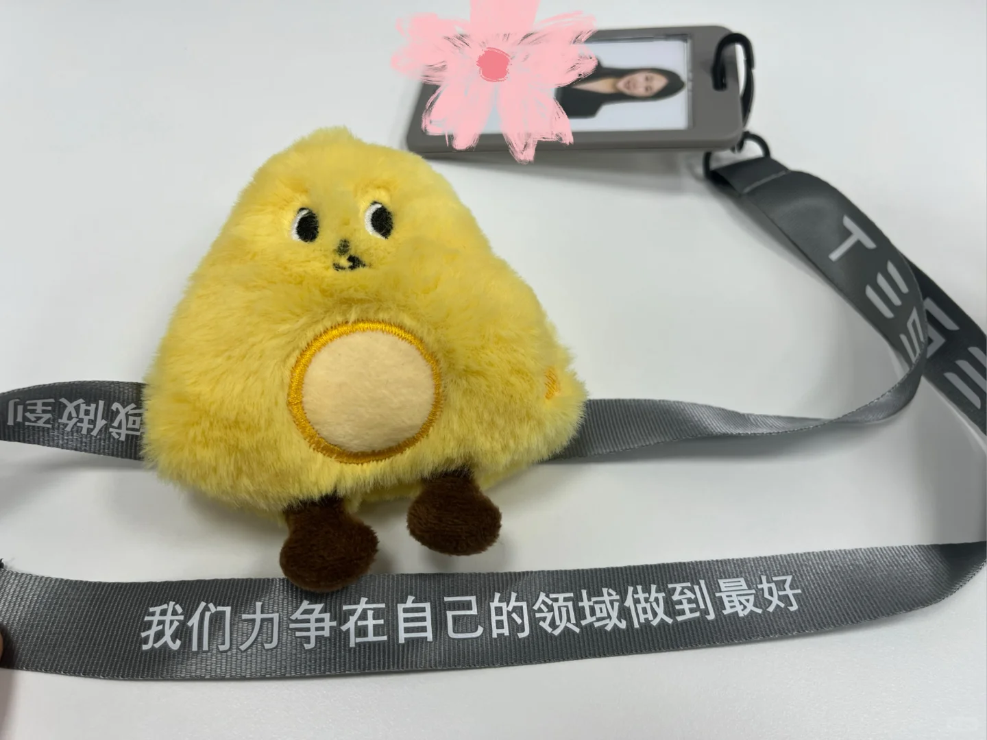特斯拉实习生有问必答！！！