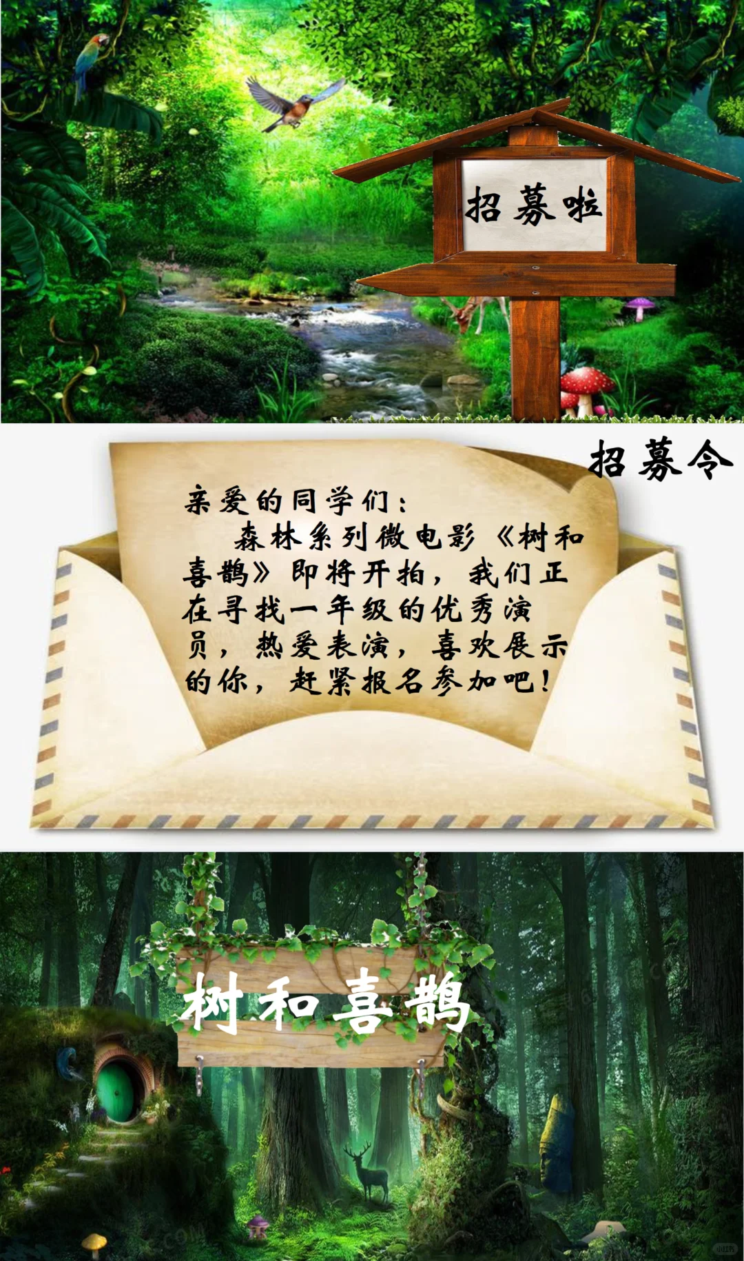 新教材树和喜鹊招募优秀演员第二课时公开课
