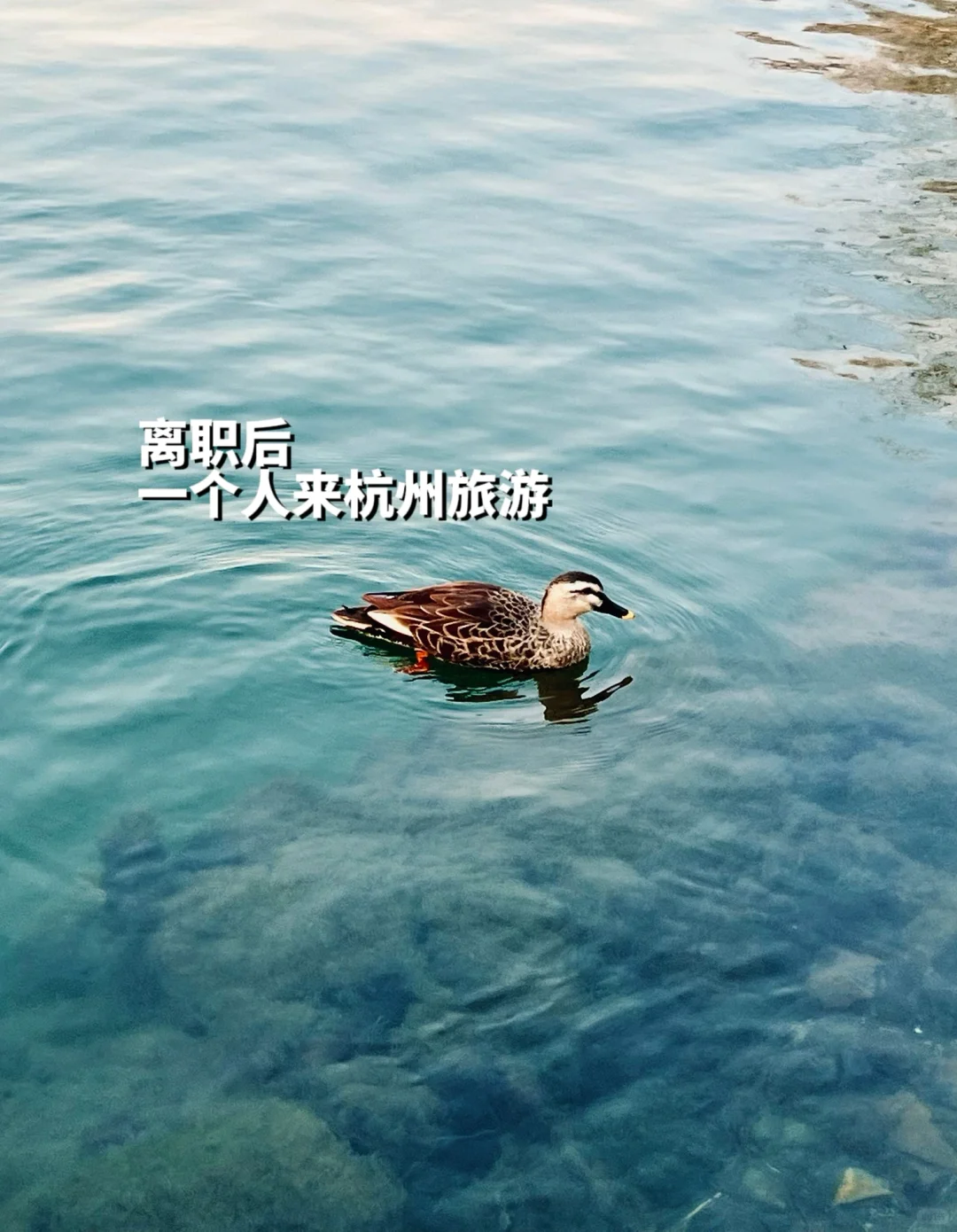 24岁主播转运营，年底拿到两万底薪周末双休！