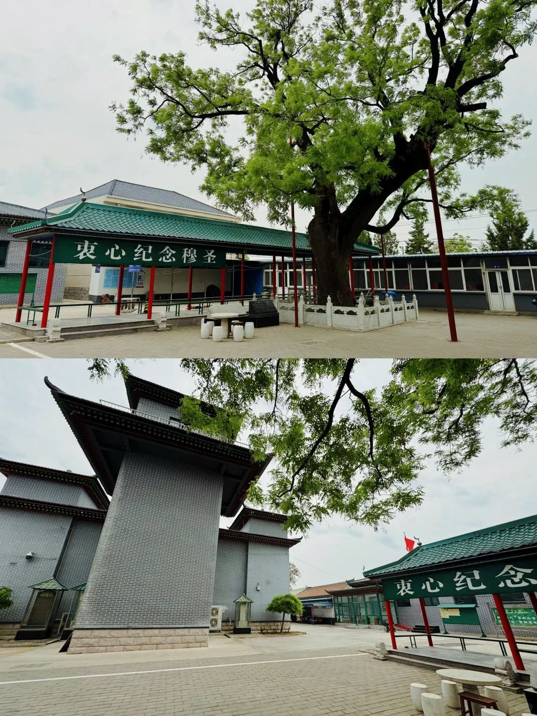 这么近那么美-🏕️五一去京郊河北大厂游玩