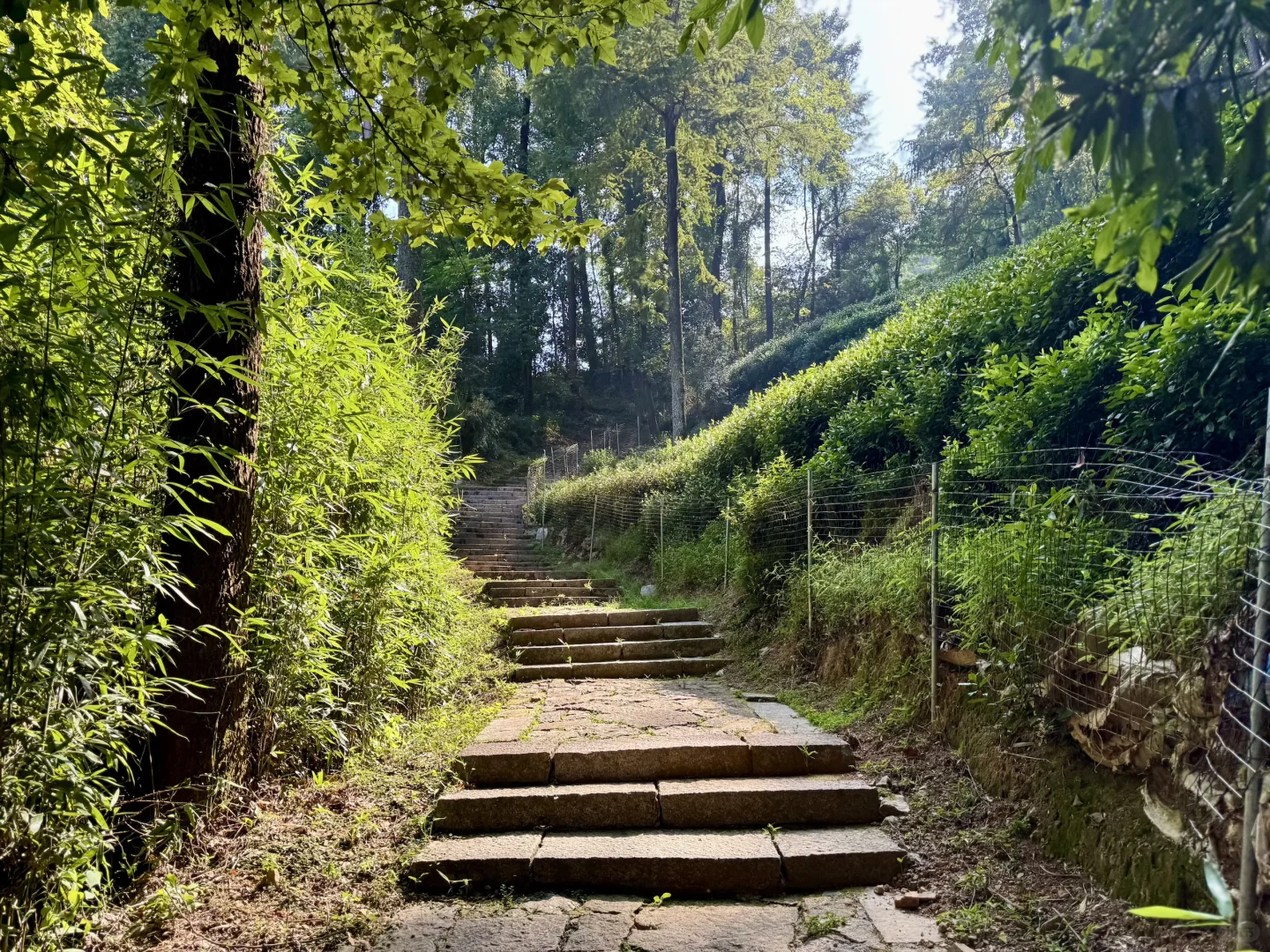 避开人潮❗️杭州南高峰小众宝藏徒步路线✨