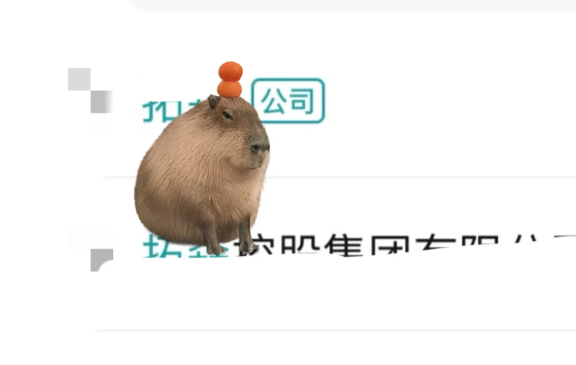 警惕溜人面试公司！！