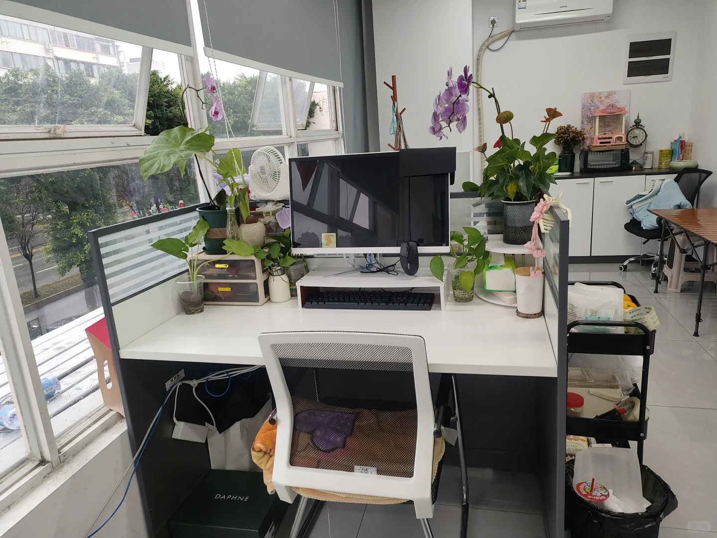 我们的办公室也太温馨了！在温江，缺搭子！