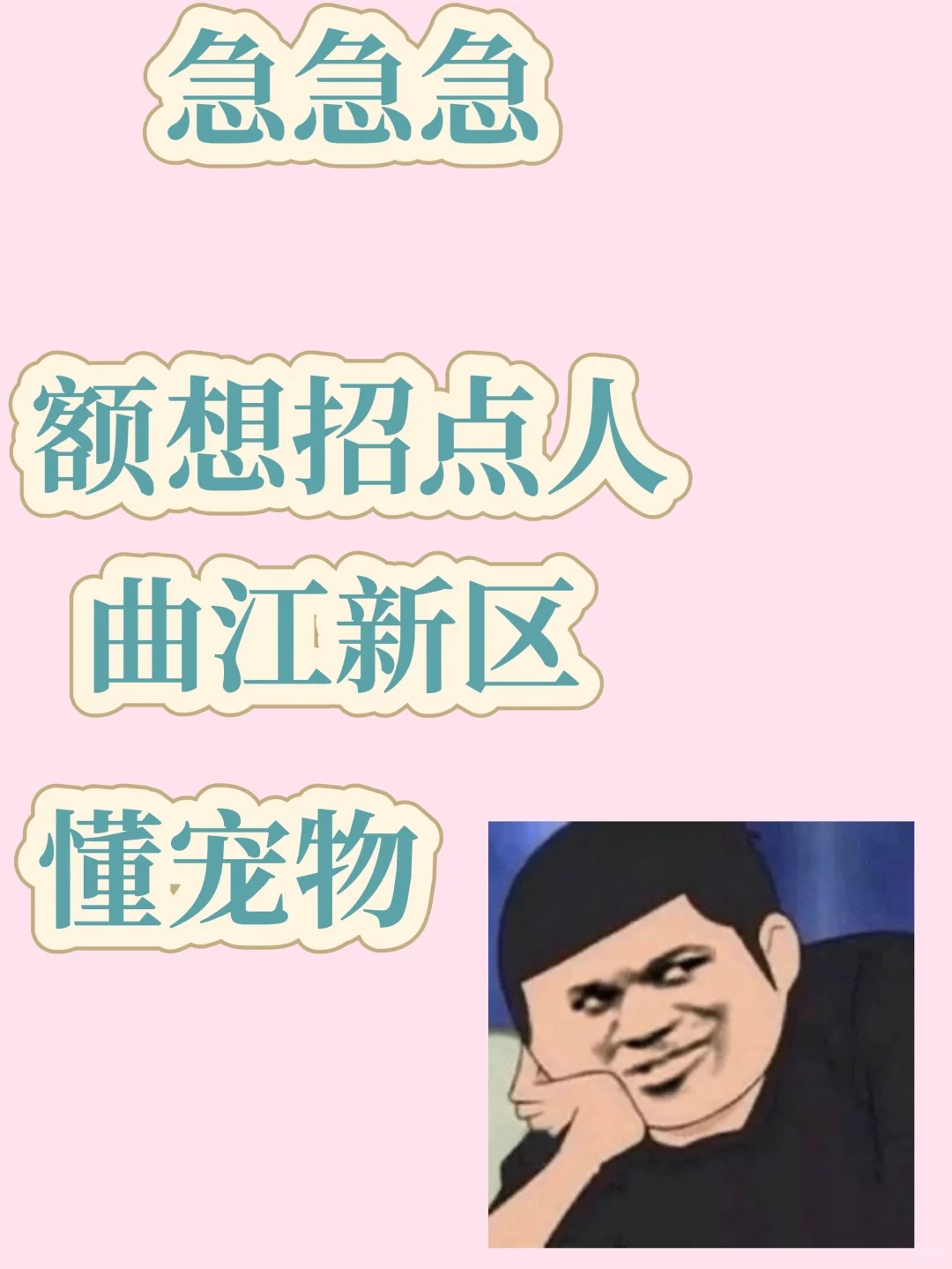 懂宠物