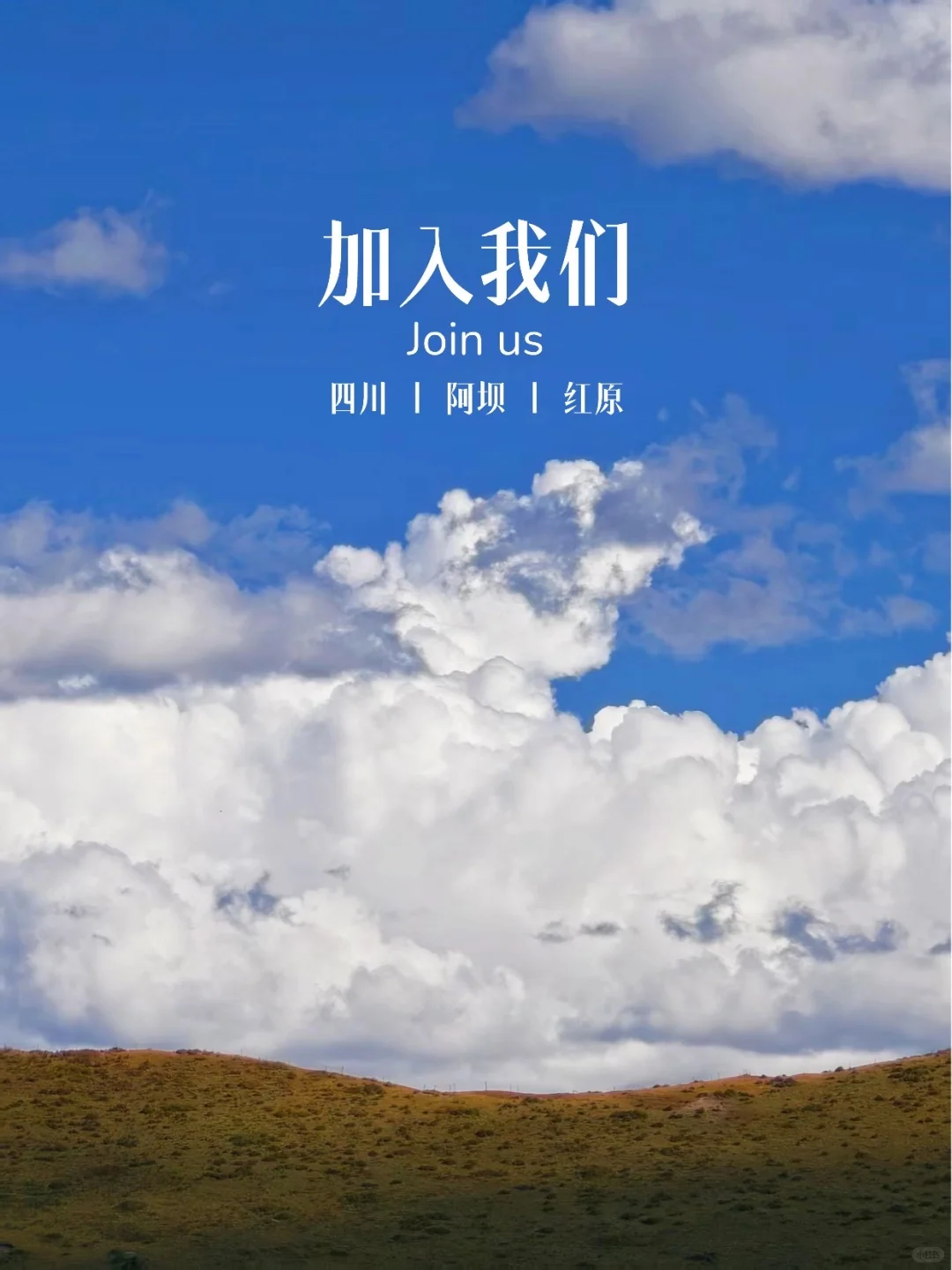 招人啦！！📢