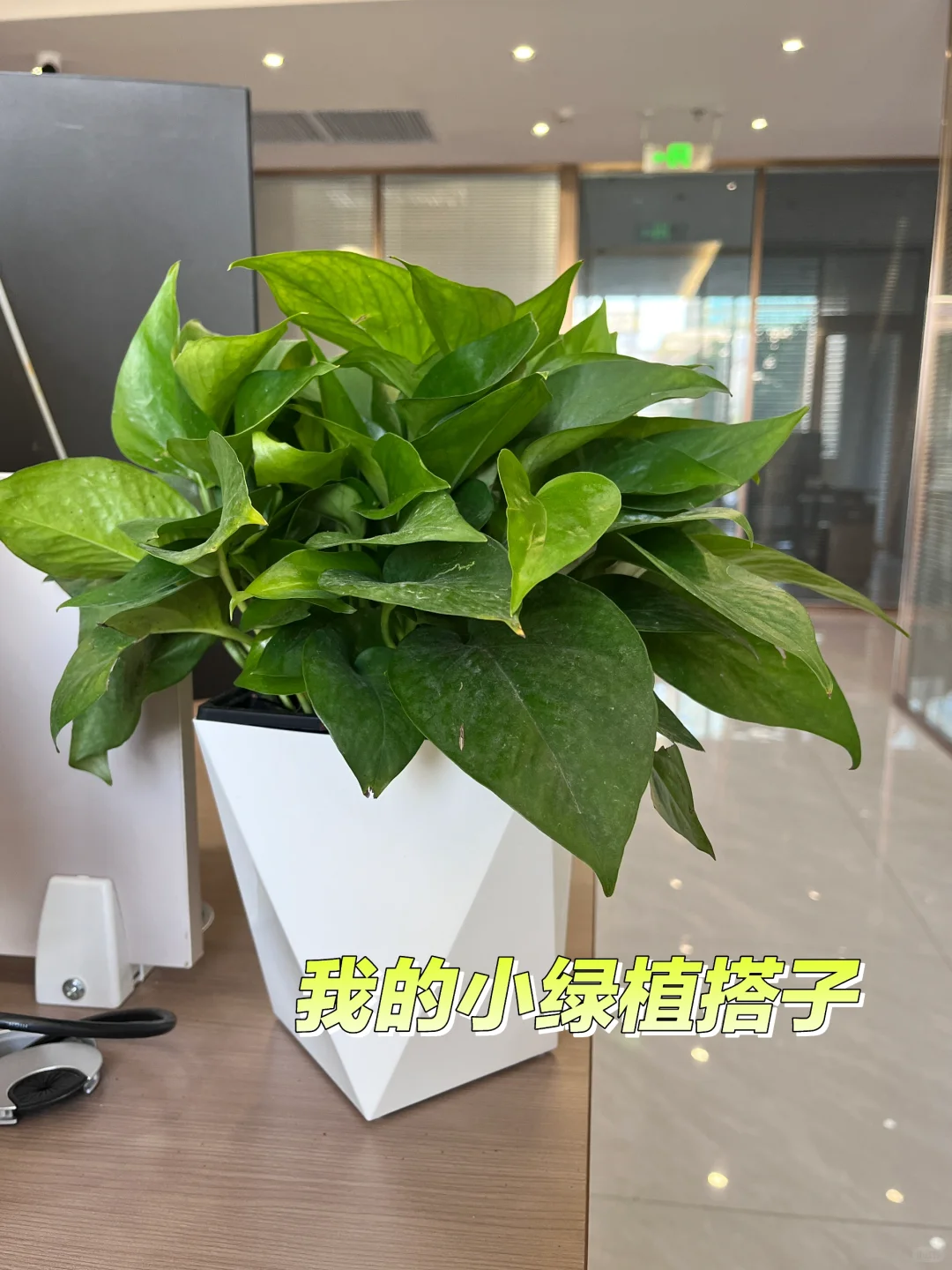 📍合肥｜00后在【华傲传媒】的一天