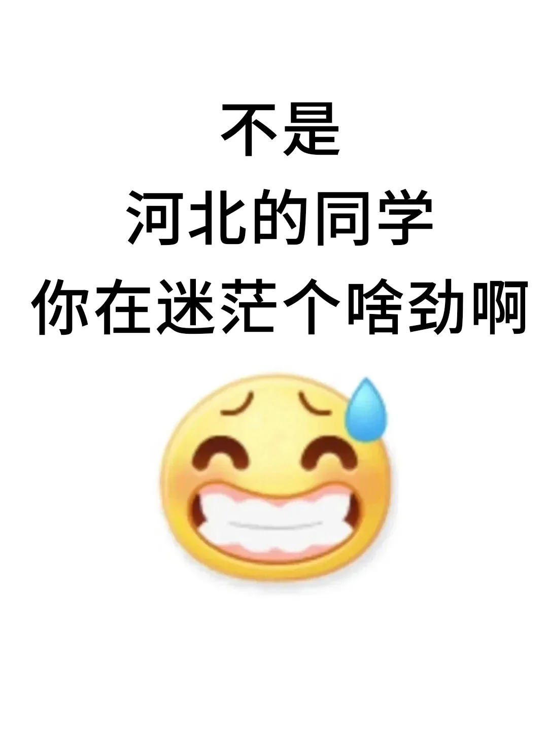 不是，河北的同学你在迷茫个啥劲啊！