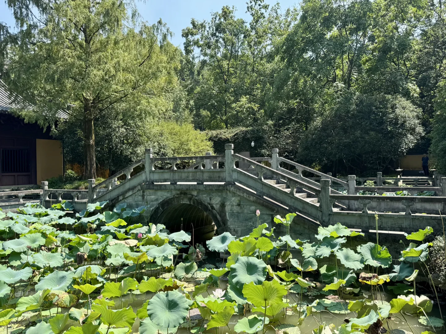避开人潮❗️杭州南高峰小众宝藏徒步路线✨