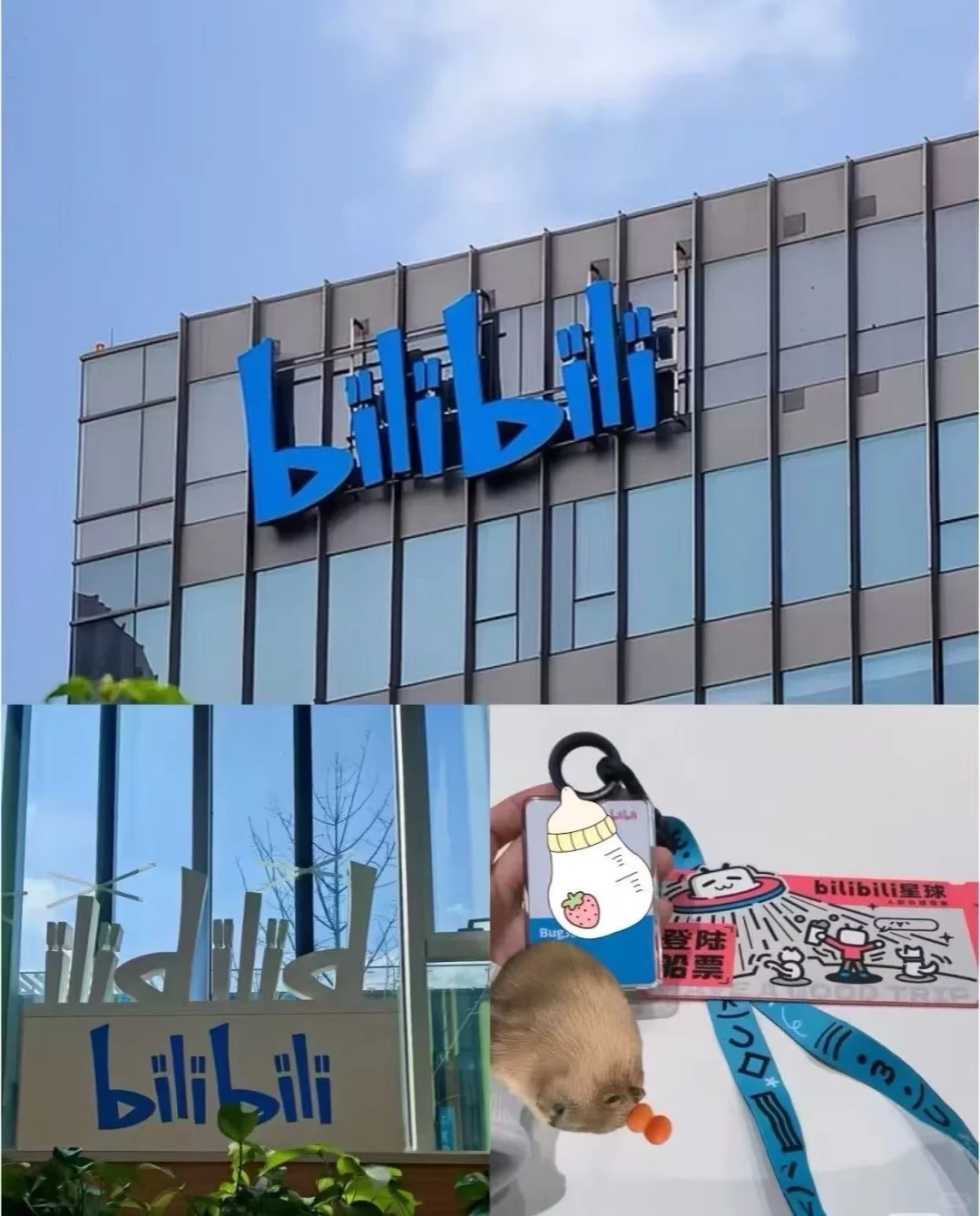 实习岗位来啦