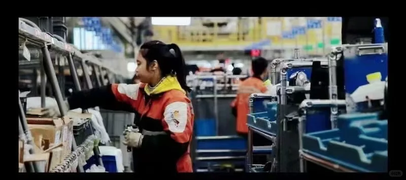 长白班，物流工