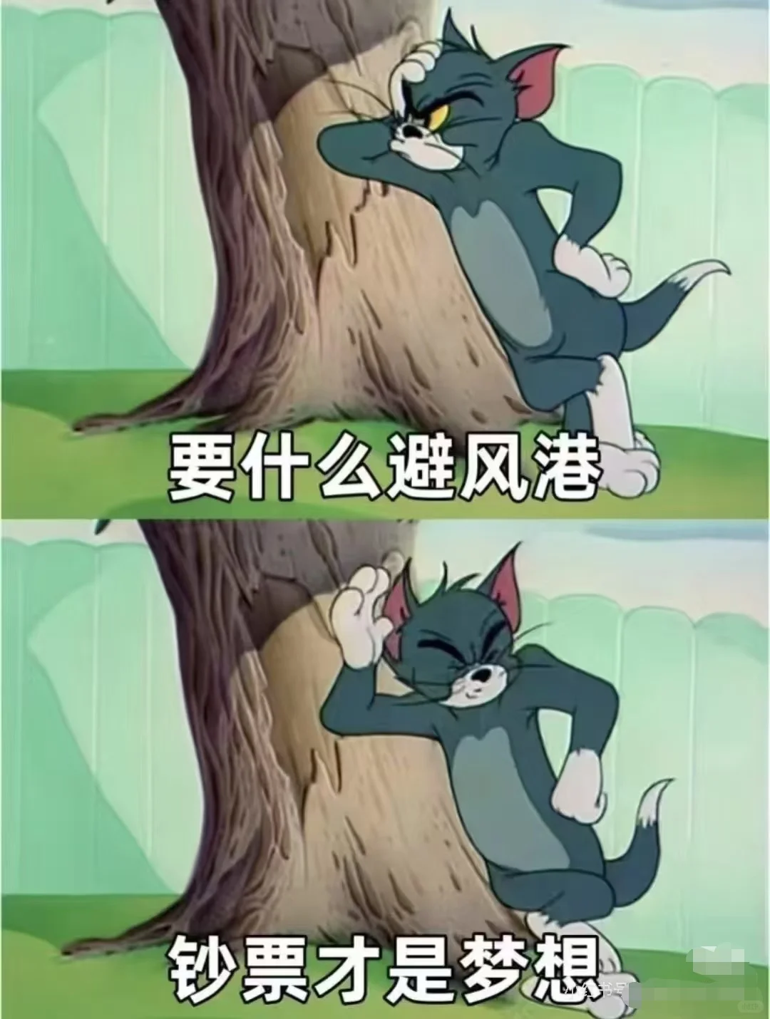 【职】等你来👉