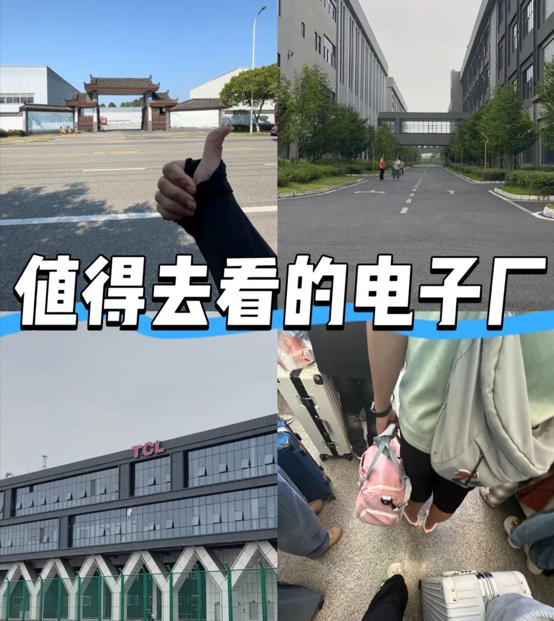 TCL招聘
