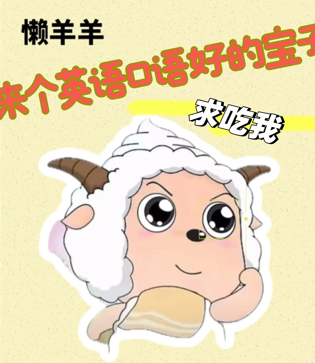 郑州英语专业 主播翻译