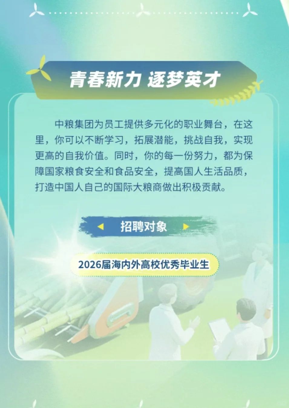 六险二金！中粮集团26校招山东多岗