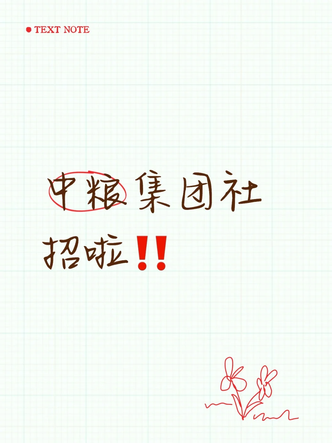 急聘精英，薪资待遇从优❗❗❗