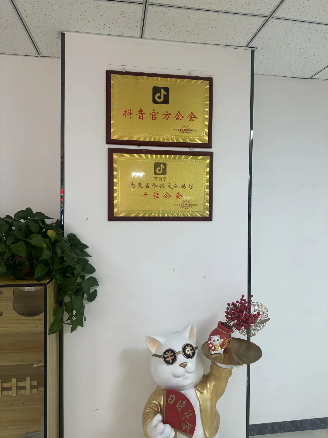 呼和浩特找工作💼