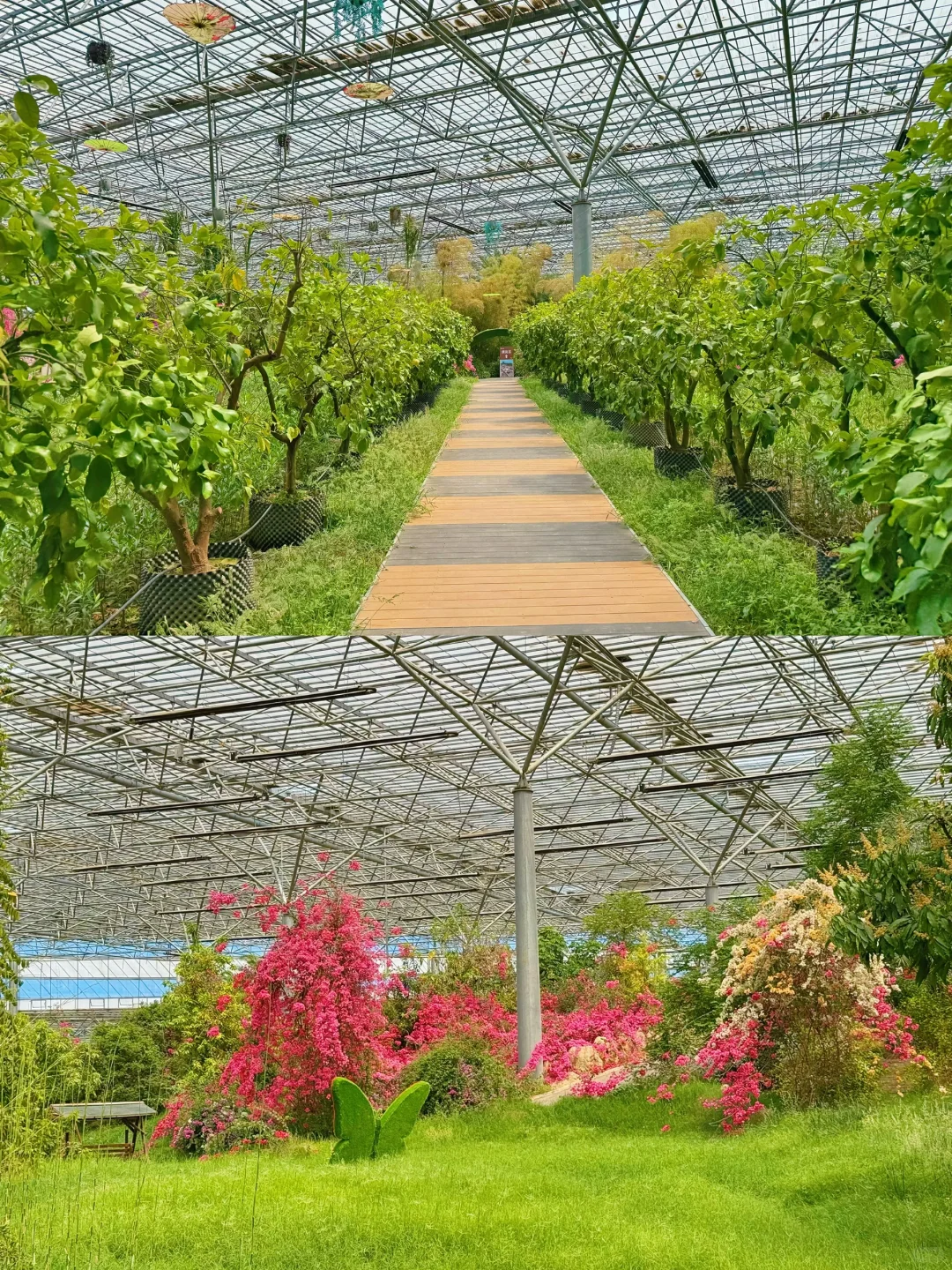 这么近那么美-🏕️五一去京郊河北大厂游玩