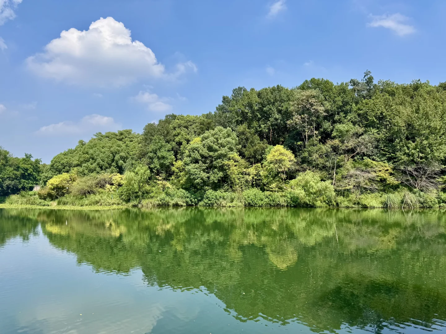 避开人潮❗️杭州南高峰小众宝藏徒步路线✨