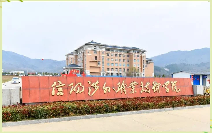 新出！信阳涉外职业技术学院教师招聘公告！