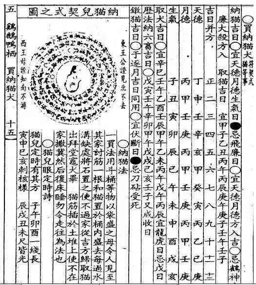 咪：人，这一刻开始咪属于你
