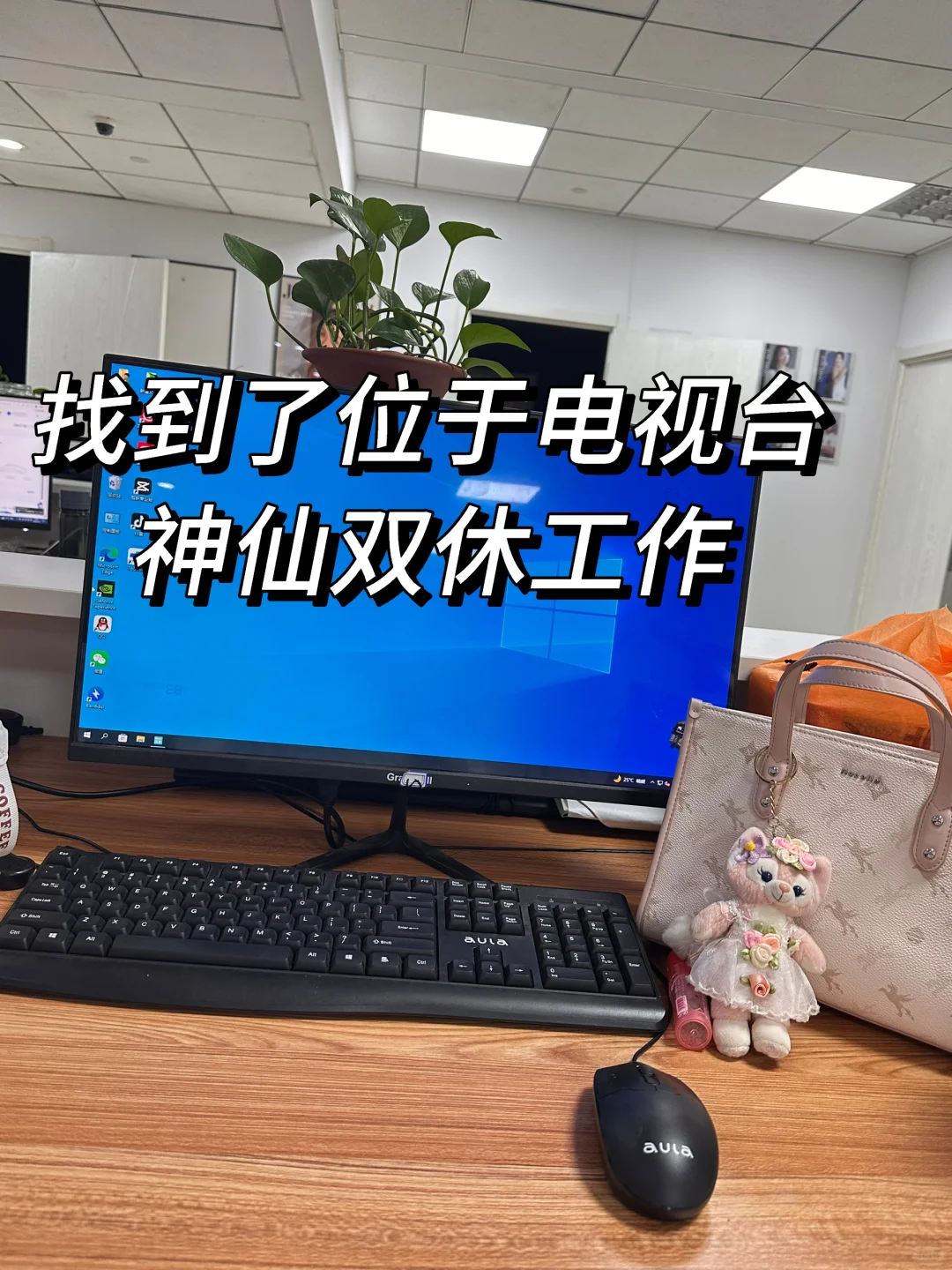 石家庄电视台招人啦