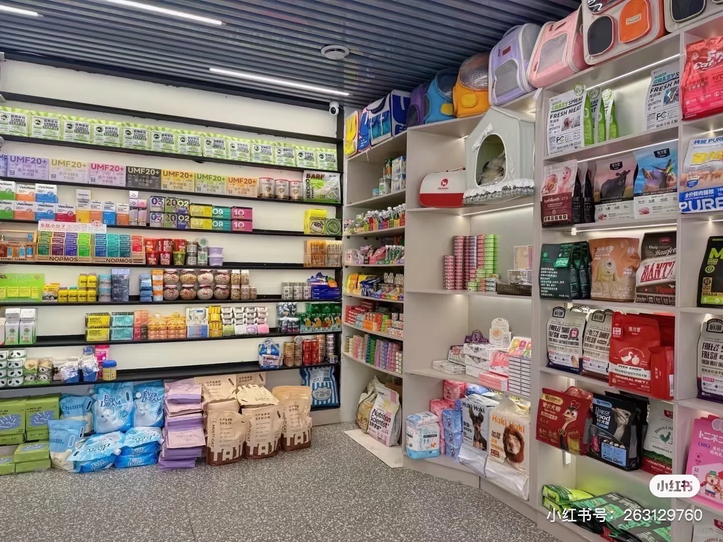 西夏区宁阳广场后面宠物店招人啦