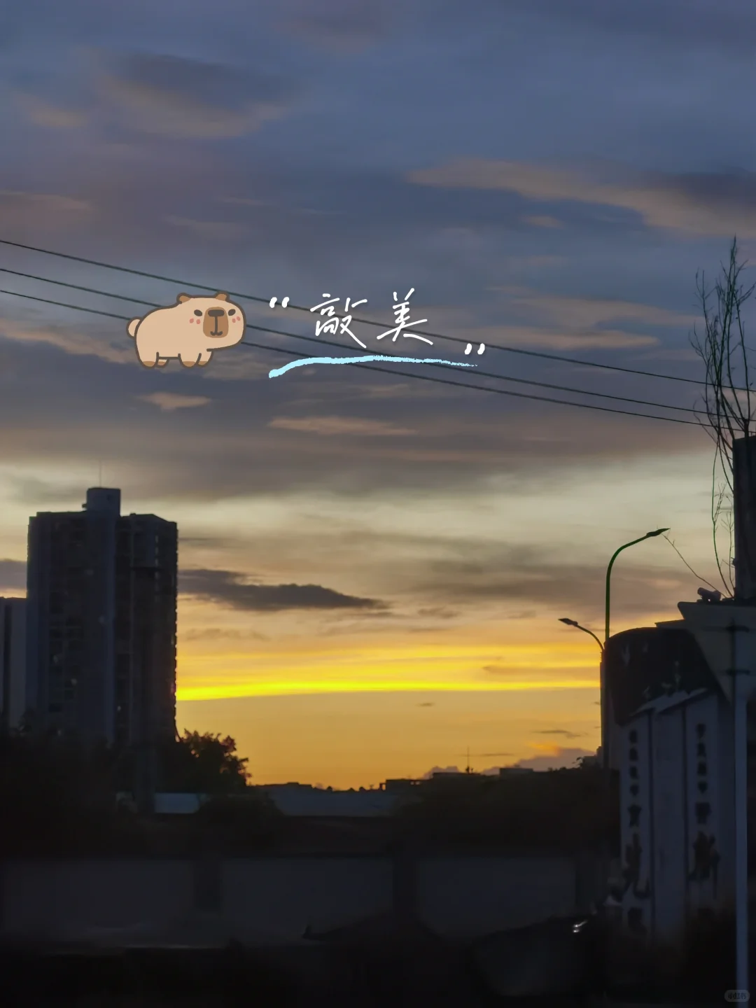 Wellcee远程实习也太香了吧