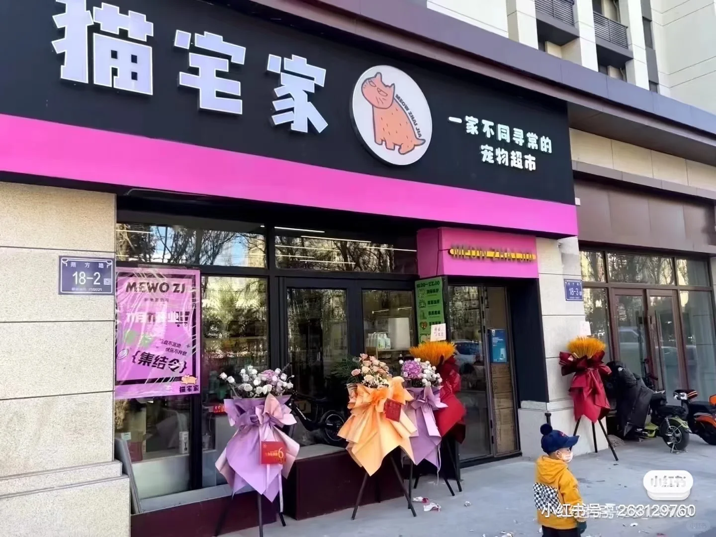 西夏区宁阳广场后面宠物店招人啦